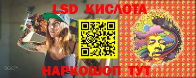 прущие грибы Тверь