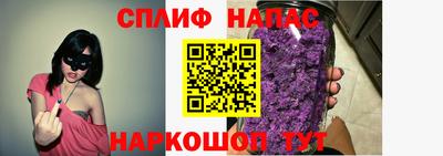 прущие грибы Тверь