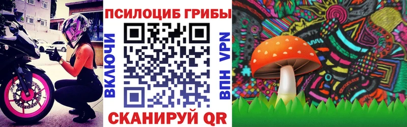 Псилоцибиновые грибы Cubensis  darknet клад  Старый Оскол 