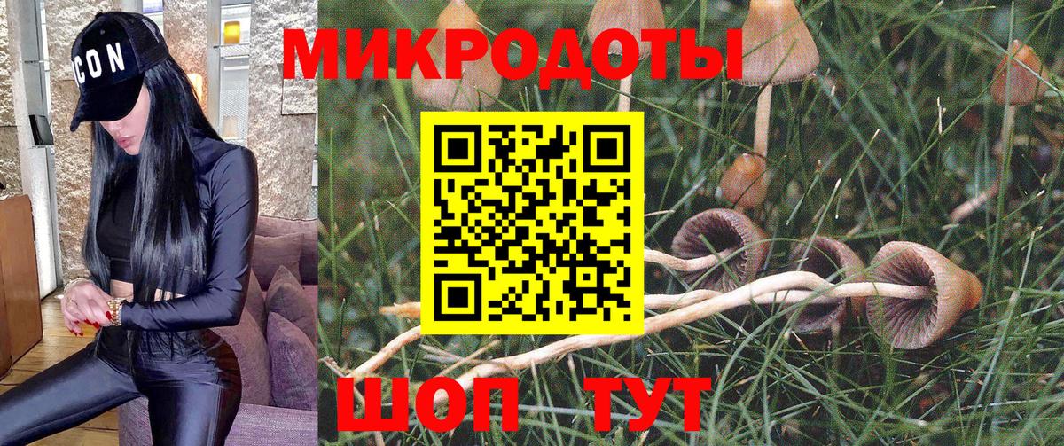 Псилоцибиновые грибы Psilocybe  Галлюциногенные грибы мухоморы  Старый Оскол  Вход с VPN 